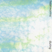 During cover