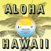 Aloha Hawaii: Towns On The Moon 10