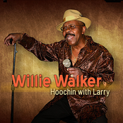 Life Time Of Pain by Willie Walker