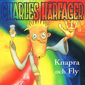 Sånt Jag Inte Förstår by Charles Hårfager