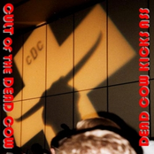 Dead Cow (feat. LBK Mafia and Dolores)