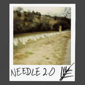 Needle 2.0