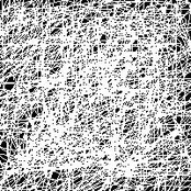 terrapin live on bfm