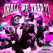 Shall We Trap??