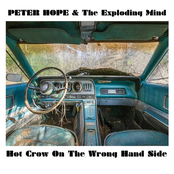 Hot Crow On The Wrong Hand Side