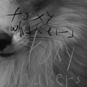 Foxy Whiskers