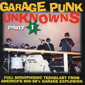 Garage Punk Unknowns, Part 1