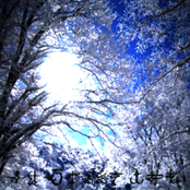 ANGELS SUPPORT MURDER