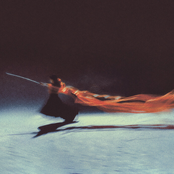 Unity / Wise Decision