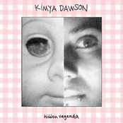 Kimya Dawson: Hidden Vagenda