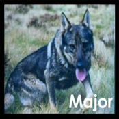 Ciekawostki (goodies)