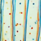 Anthony Pirog: The Hunger Artist