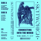 ＣＯＮＮＥＣＴＩＮＧ　ＩＮＴＯ　ＴＨＥ　ＷＩＲＥＤ