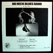 A Little Piece Of The Sky by No-neck Blues Band