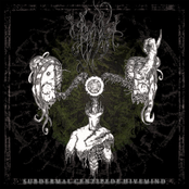 Subdermal Centipede Hivemind