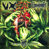 VX / Coprobaptized Cunthunter / Oneroid Blood Pressure