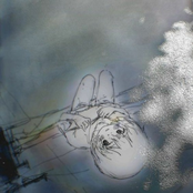 antes de volverte a ver