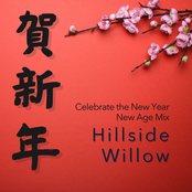 Celebrate the New Year (New Age Mix)