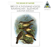 Natural Sound: Blaukehlchen / Bird of a Thousand Voices