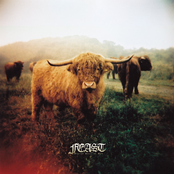 Glacial Heart Of Man