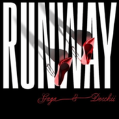 Runway