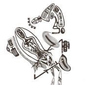 O dia que o Hare Krishna riu de mim