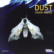 Dust Spinning by Dust