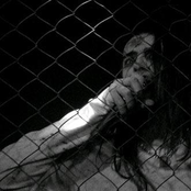 B.O.S.C.H. photo provided by Last.fm