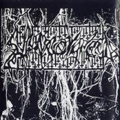 Страхокрест