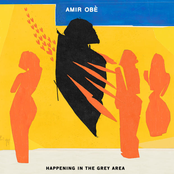 Amir Obe: Happening in the Grey Area