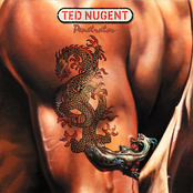 Go Down Fighting by Ted Nugent