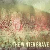 Back Home by The Winter Brave