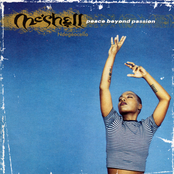 Meshell Ndegeocello: Peace Beyond Passion