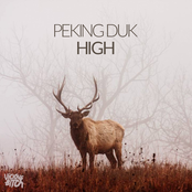 Peking Duk: High