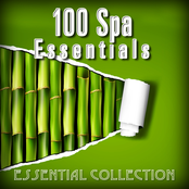 100 Spa Essentials