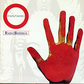Radio Buddha