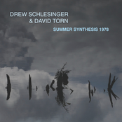SUMMER SYNTHESIS 1978