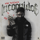 Incognidoe