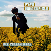 Don't Be Shy by Fyfe Dangerfield