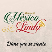 Dime Que Se Siente