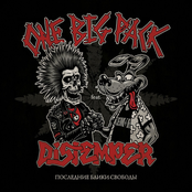 Последние блики свободы