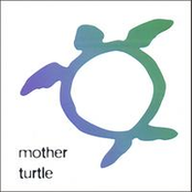 Mother Turtle