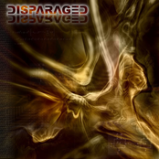 Confide In Me by Disparaged