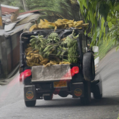 no pare, sigue sigue 4