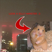 noise to cope with all the other noise