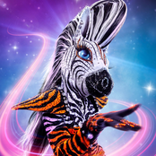The Masked Singer: Zebra