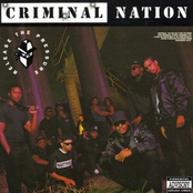 Definitely Down For Trouble by Criminal Nation