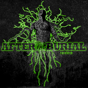 After The Burial: Rareform
