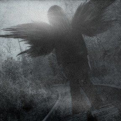 all i need (HEART COVER)