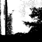 In Forest, We'll Death